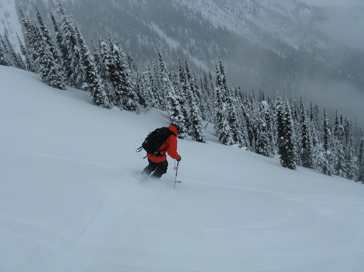 Pow skiing in BC