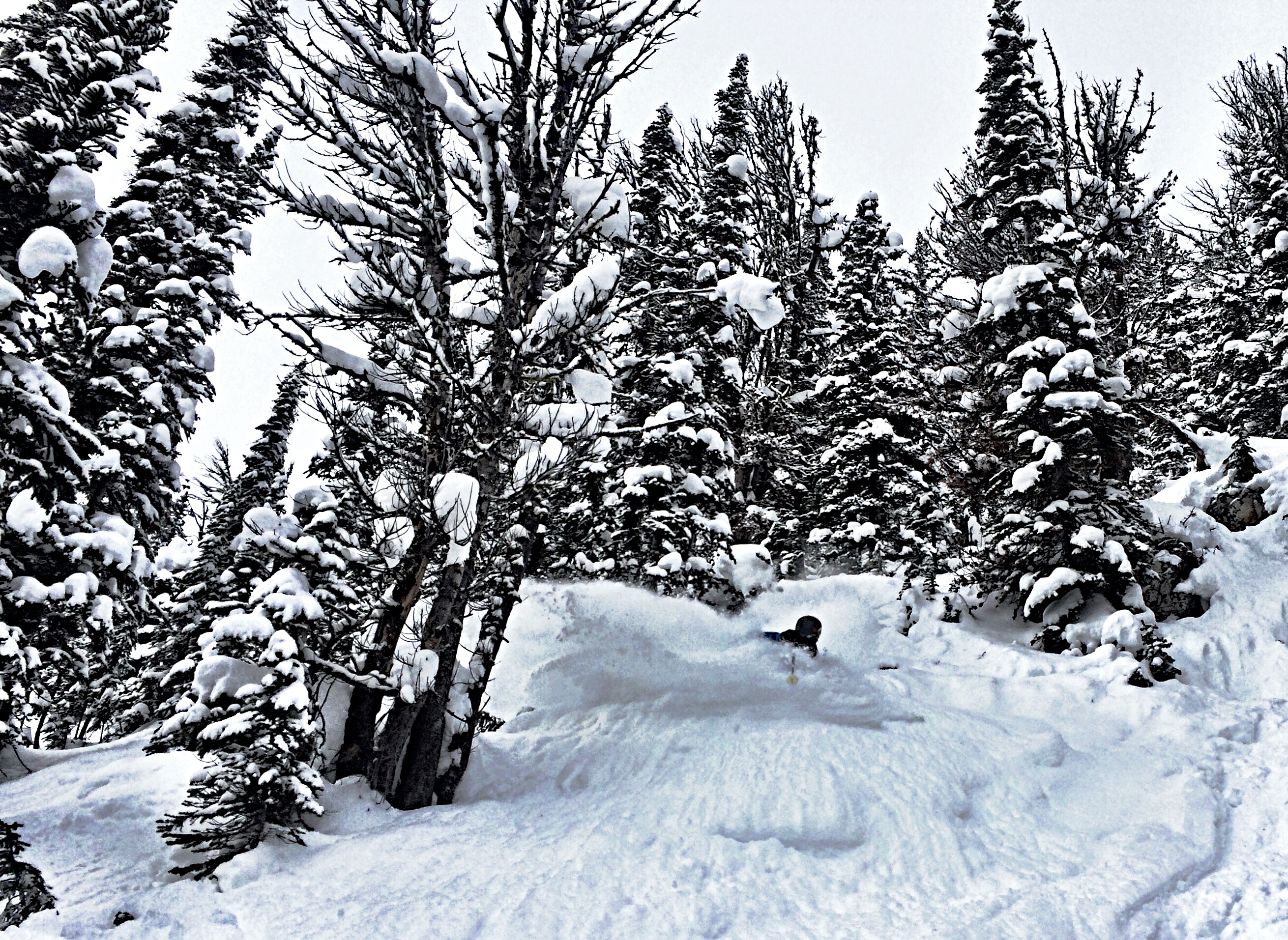 Pow slash