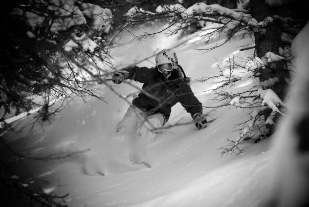 POW-Trees-ILL as Fuck