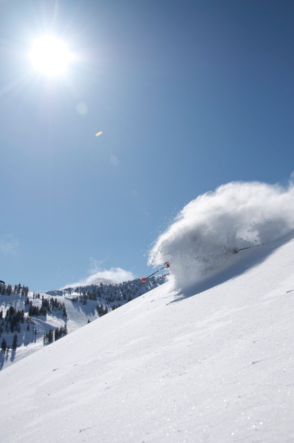 Pow Turns at Alta