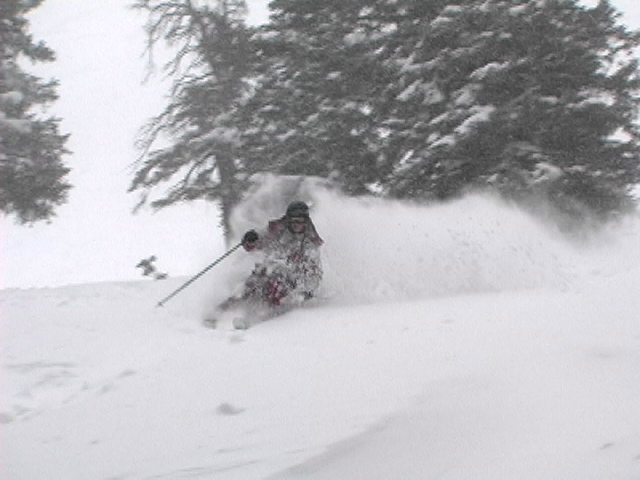 *powder, dec 1, 2005