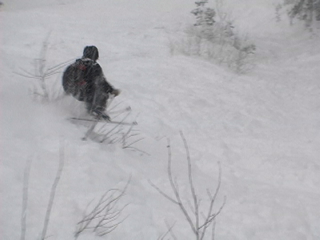 *powder, dec 1, 2005