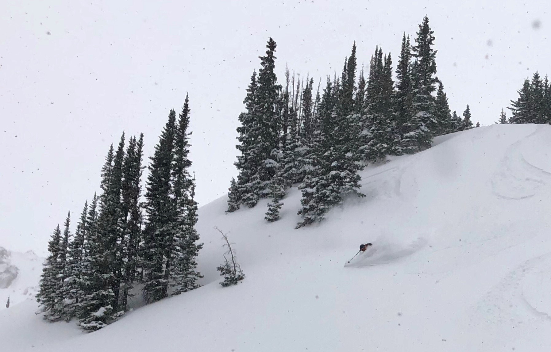 Powder Dreams From Berthoud