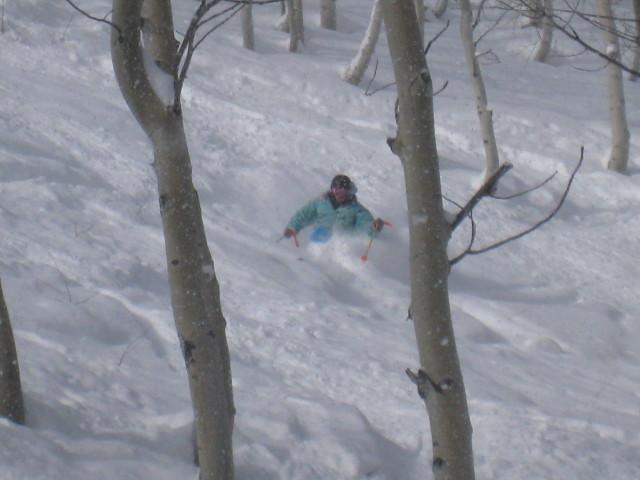 Powder for the right coaster