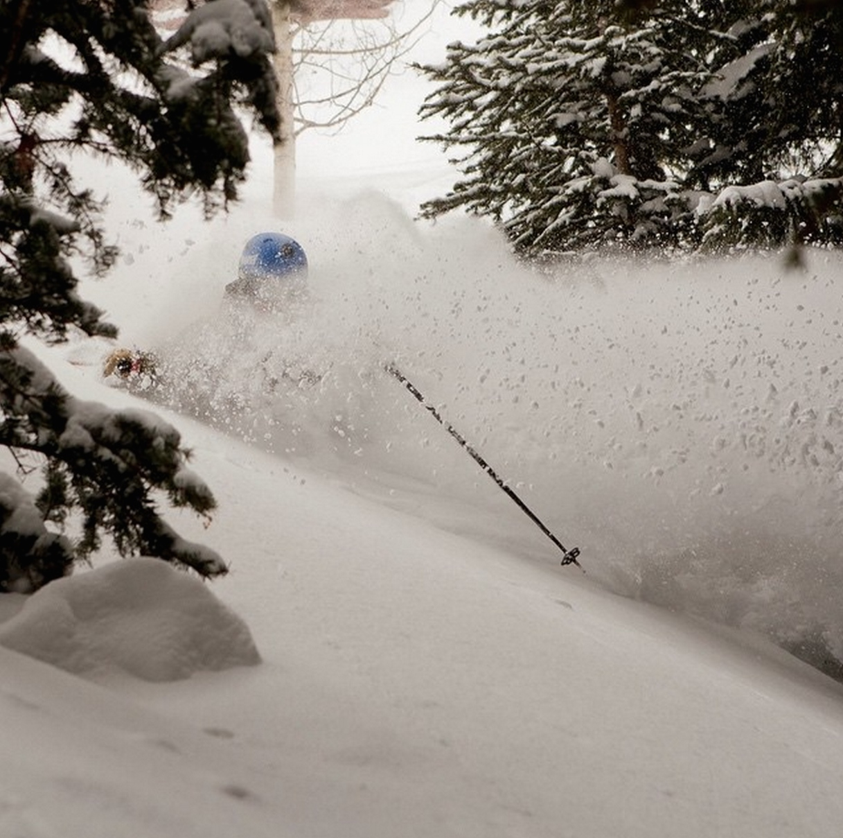 Powder in Telluride