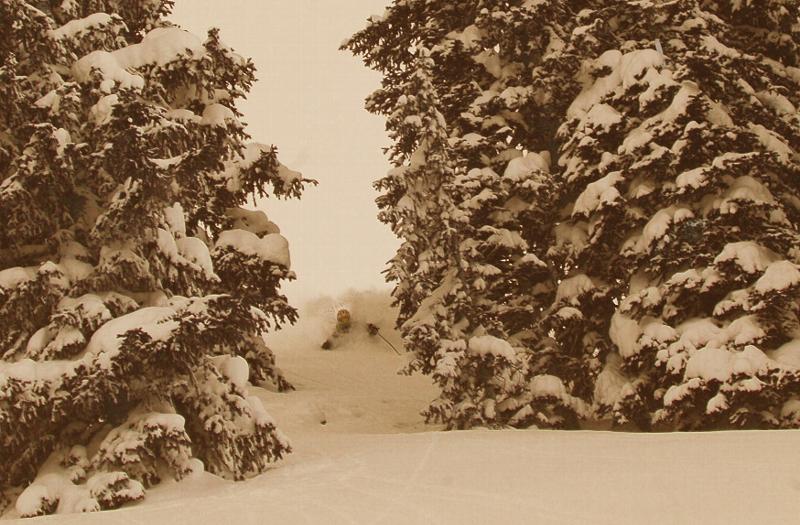 powder in utah