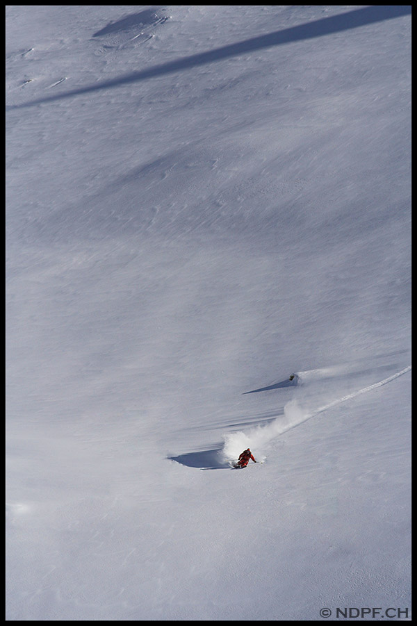 Powder, sun, speed what do you want more?