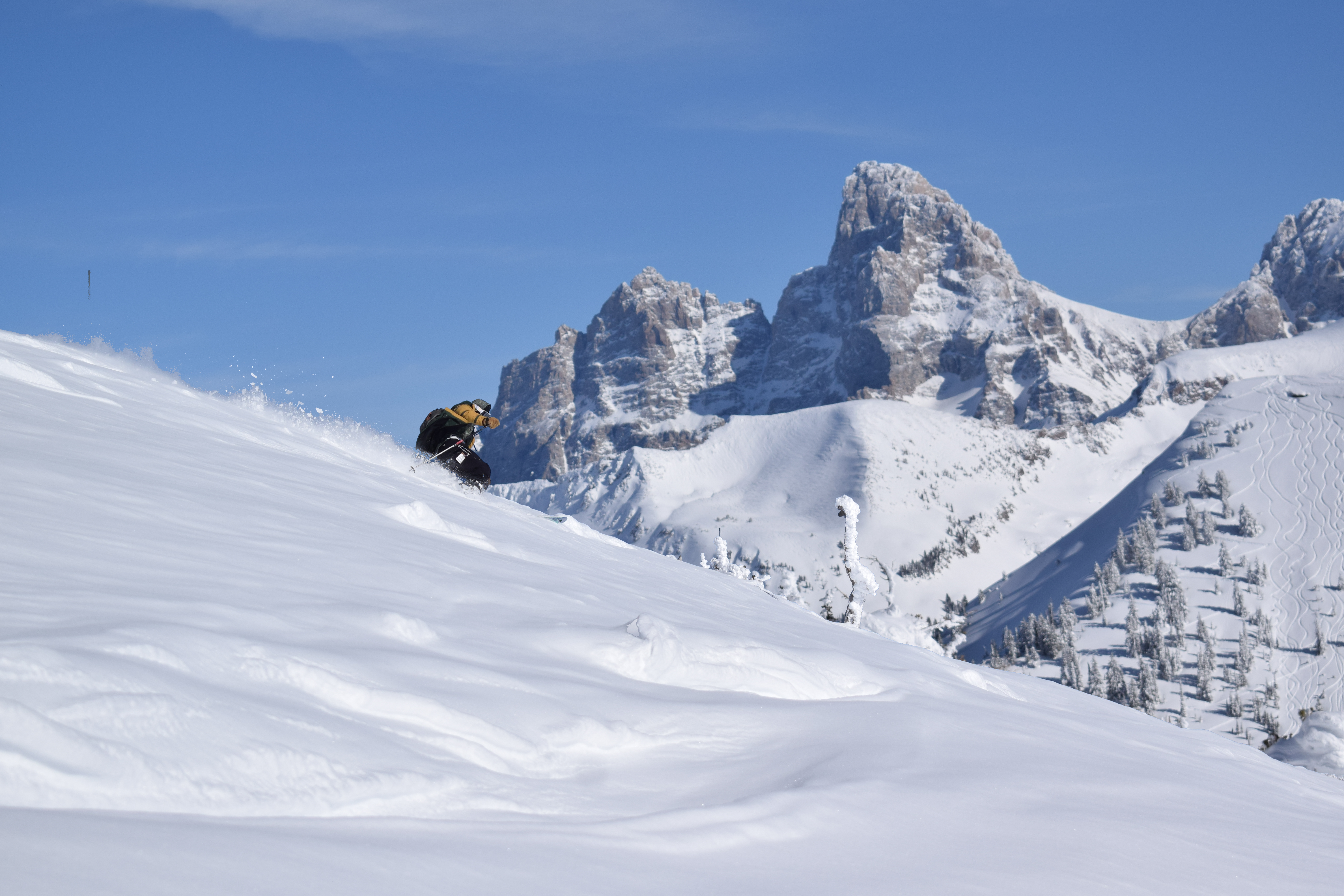 Powder turns in the Tetons 