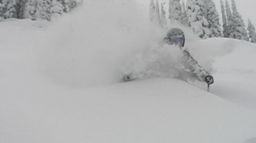 Powder