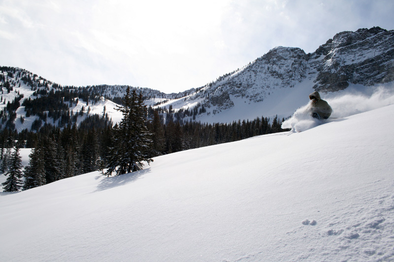 Powderday in Alta