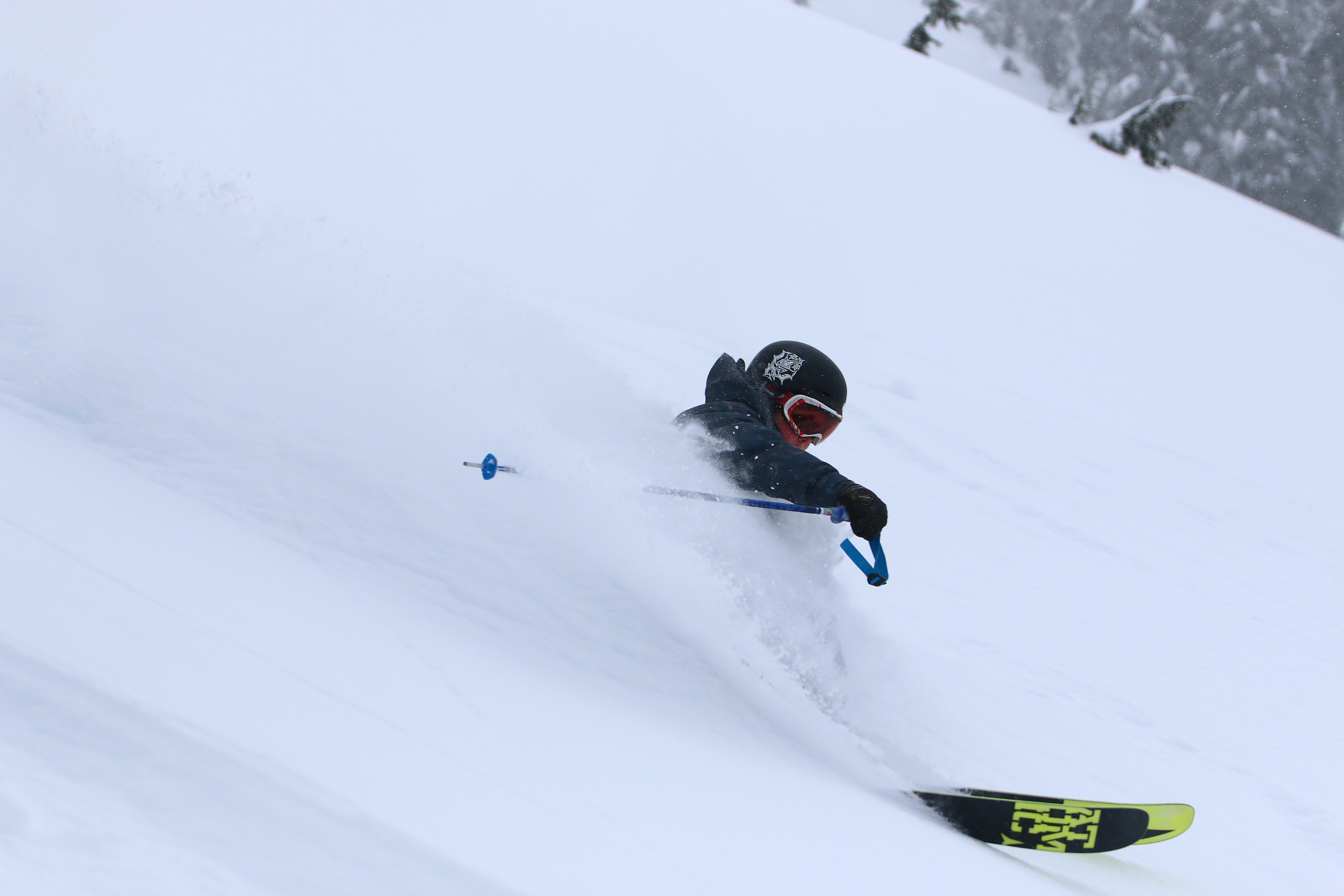 PowderMountain Catskiing