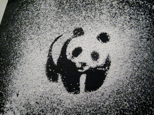 Powderpanda