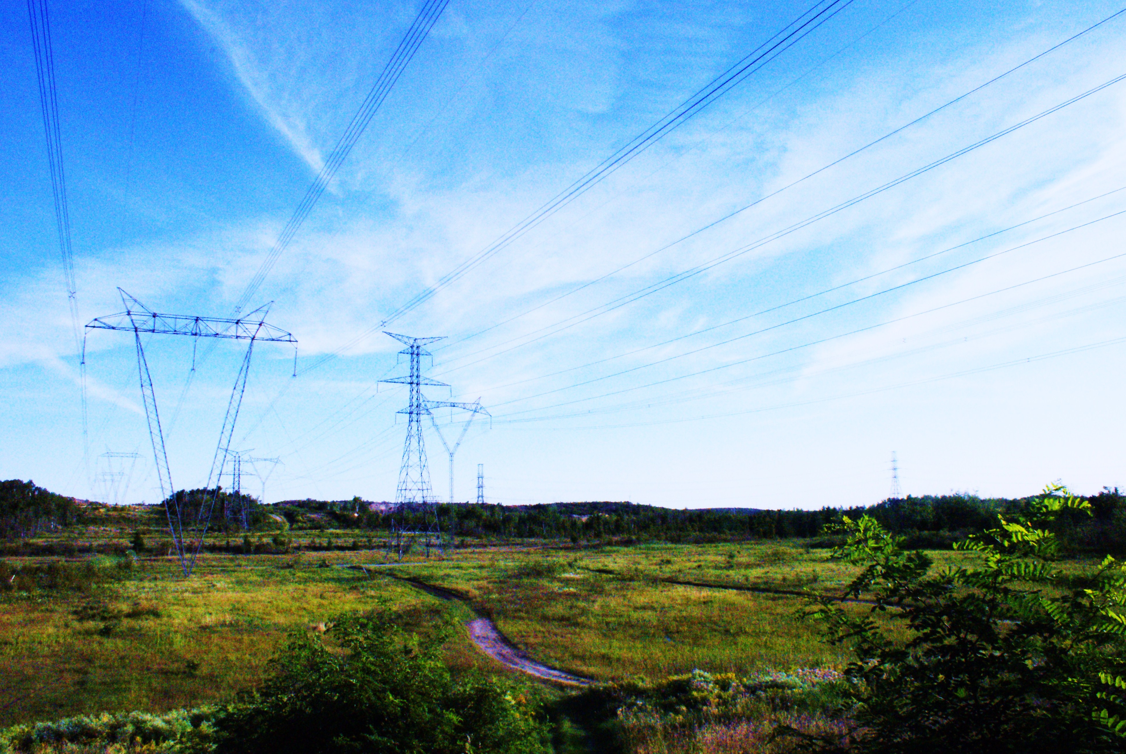 Power Lines