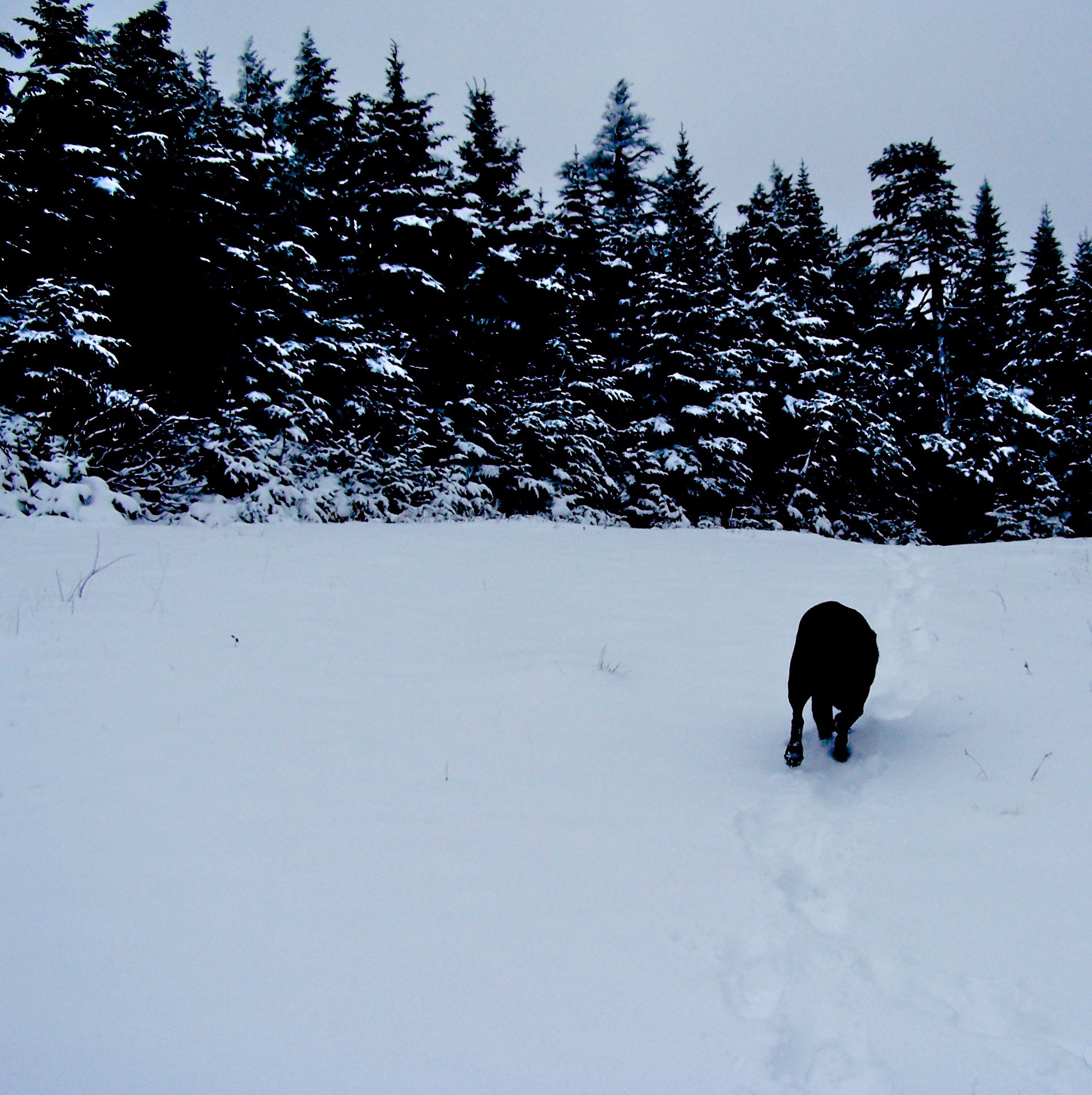 Pre Season Smuggs 10-31-10 - 1 of 8