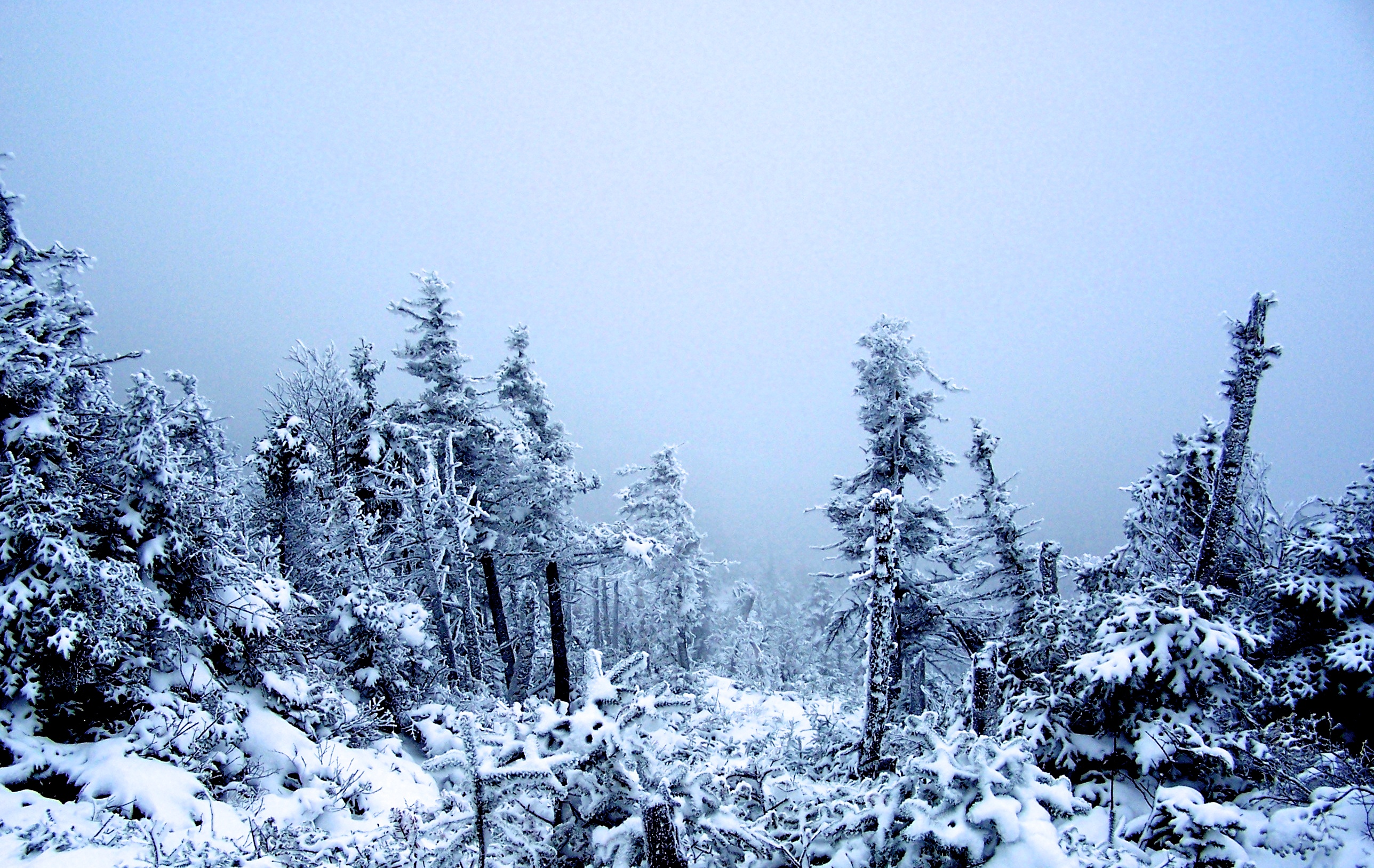 Pre Season Smuggs 10-31-10 - 2 of 8