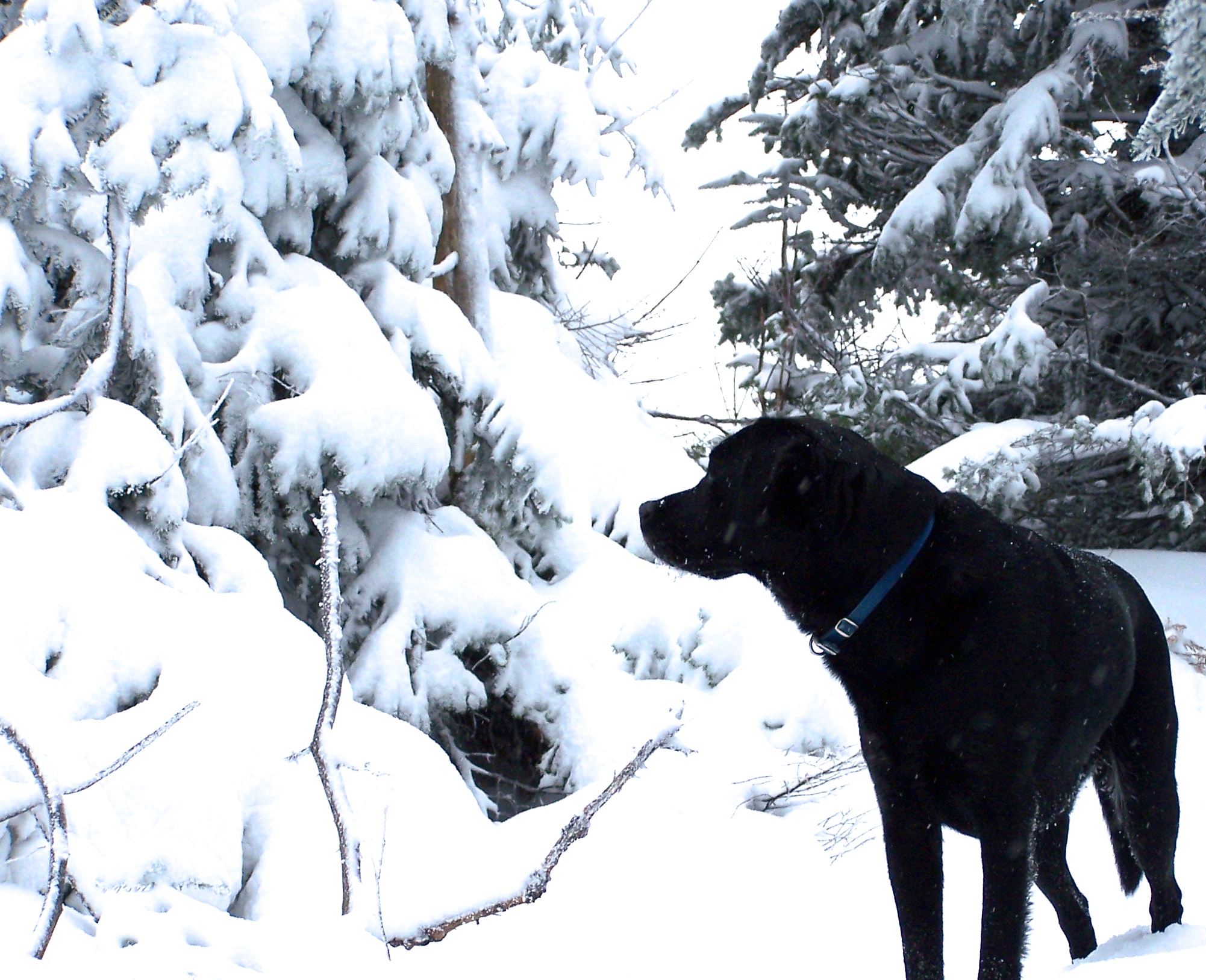 Pre Season Smuggs 10-31-10 - 8 of 8