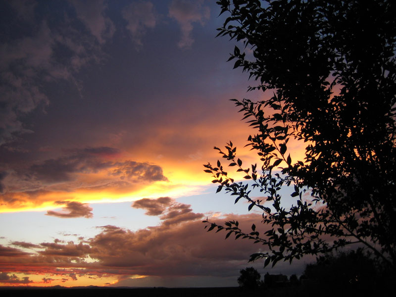 Pretty cool sunset today...number2