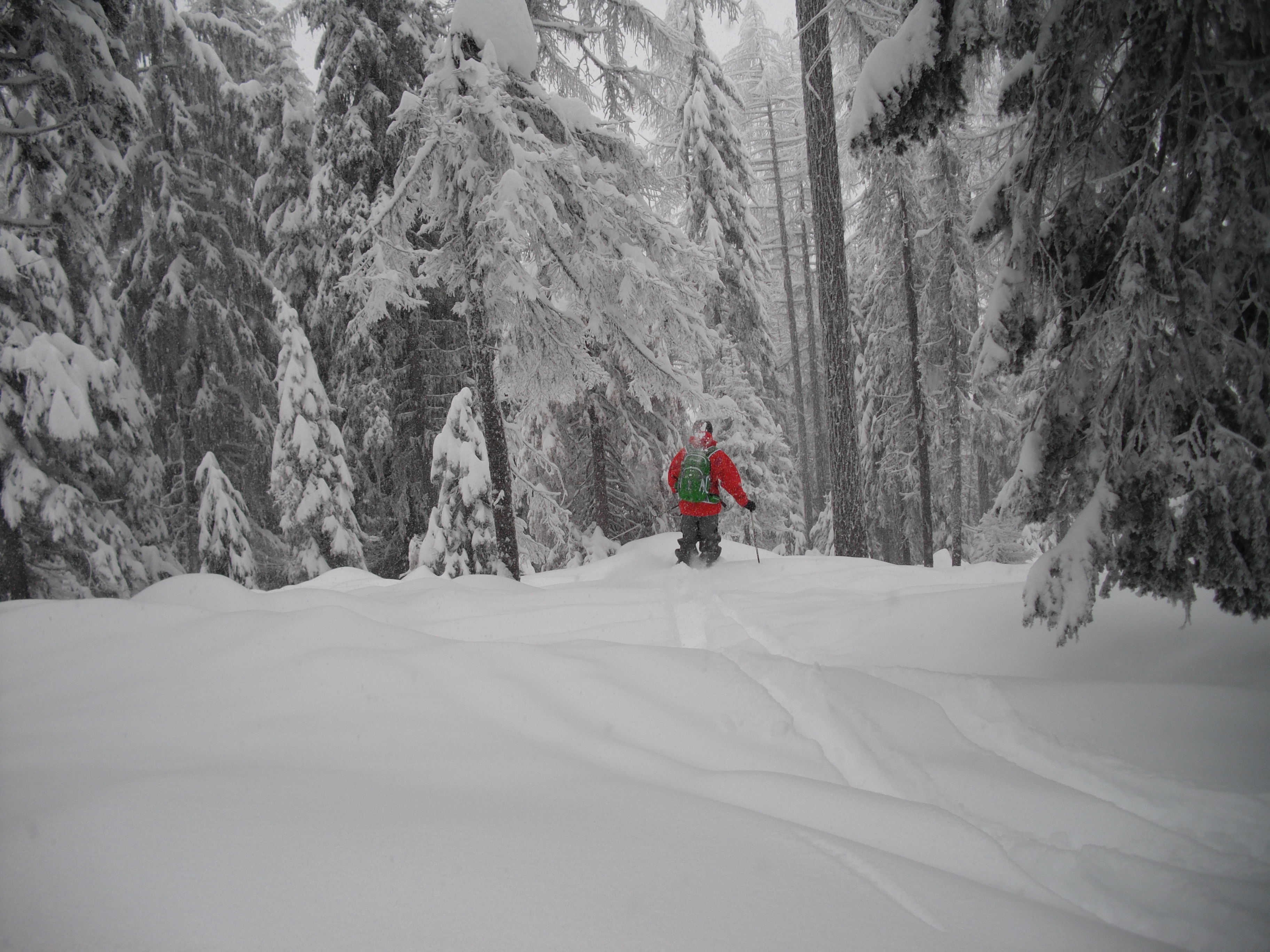 Pretty Deep at Mt. Spokane