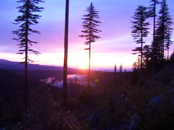 pretty kick ass pic.......