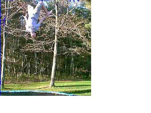 pretty nice back on tramp