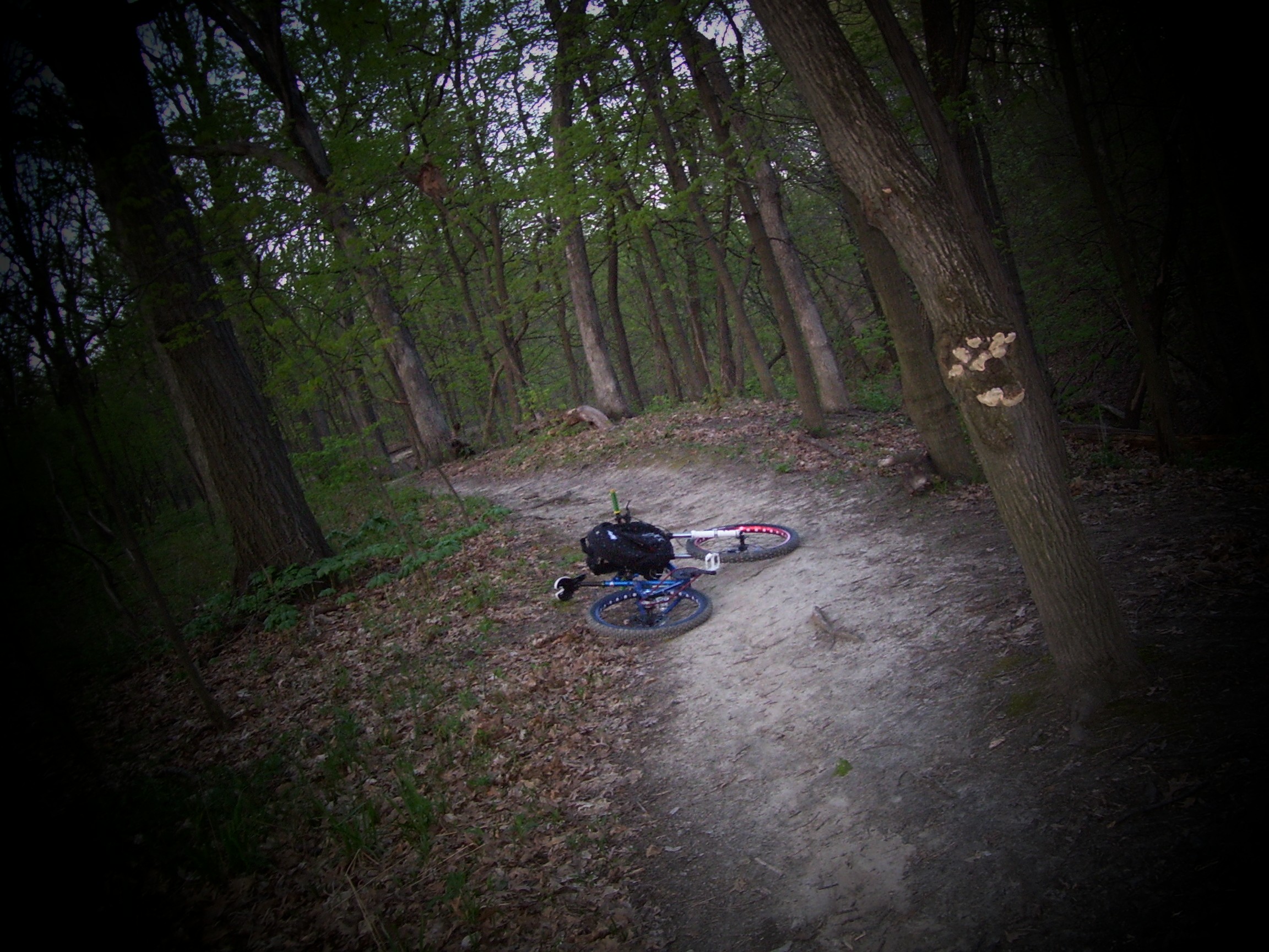 Pretty scenic trails alot of fun