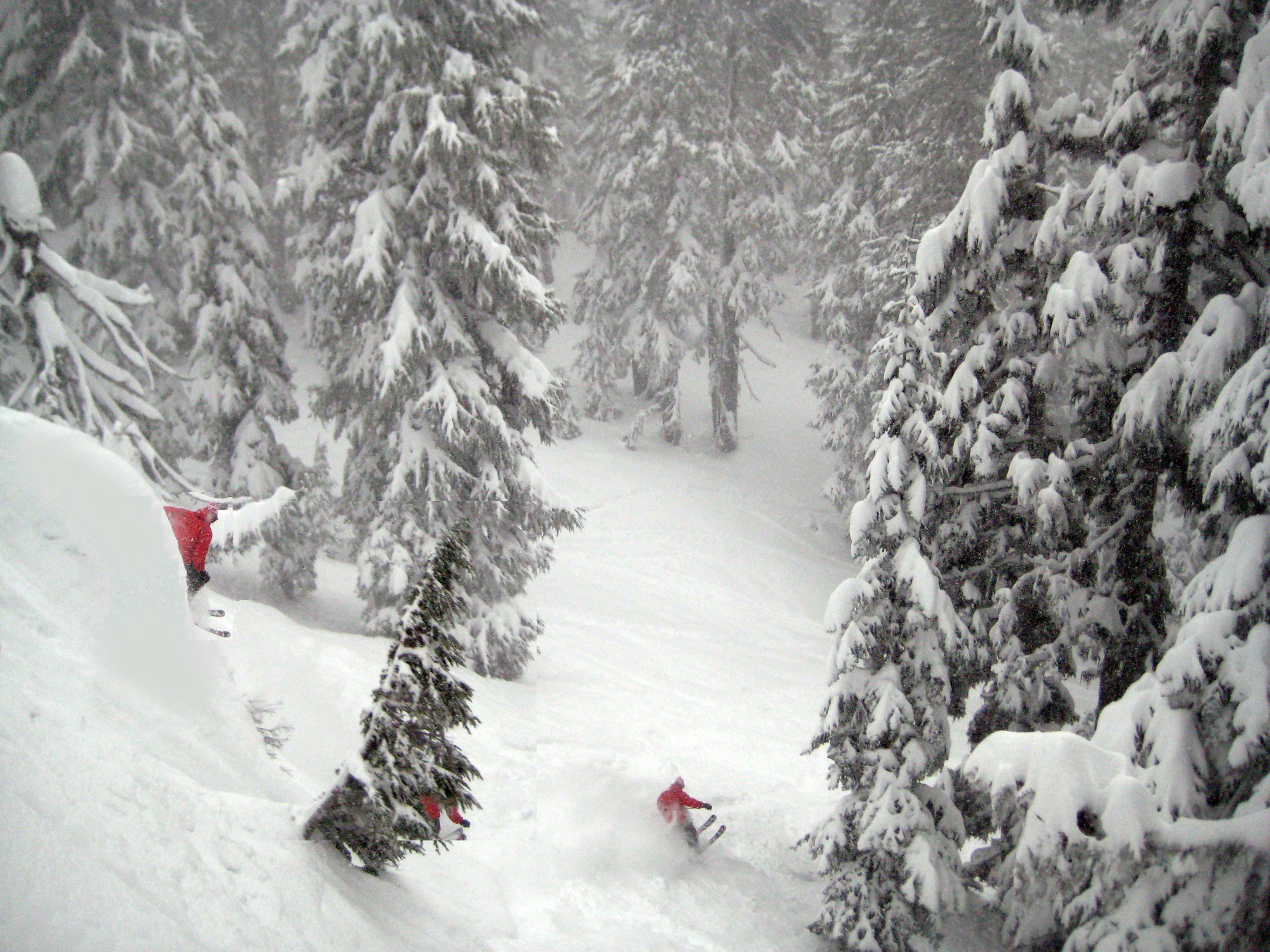 Private Reserve Cliffs