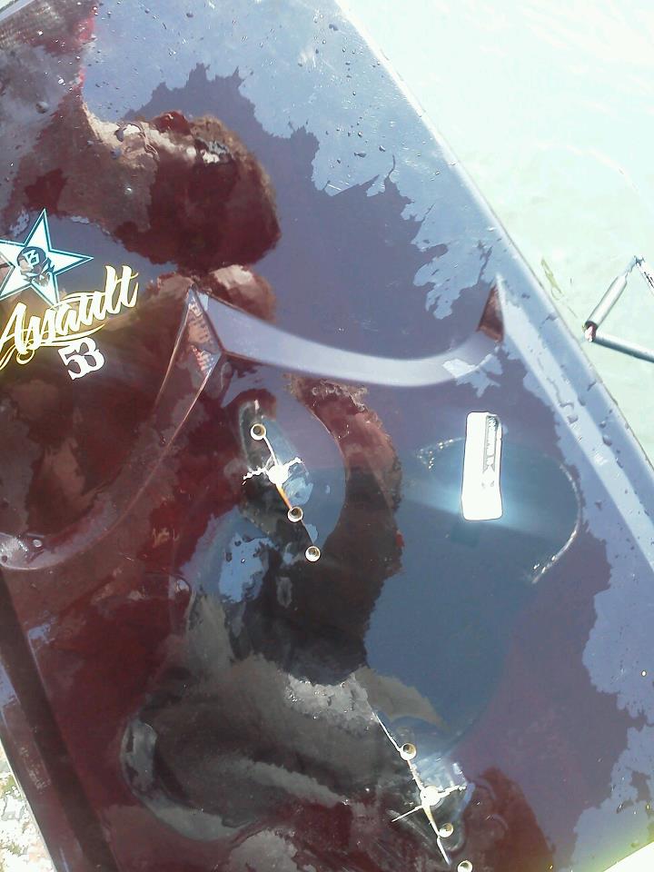 pwnd by the schuylkill monster