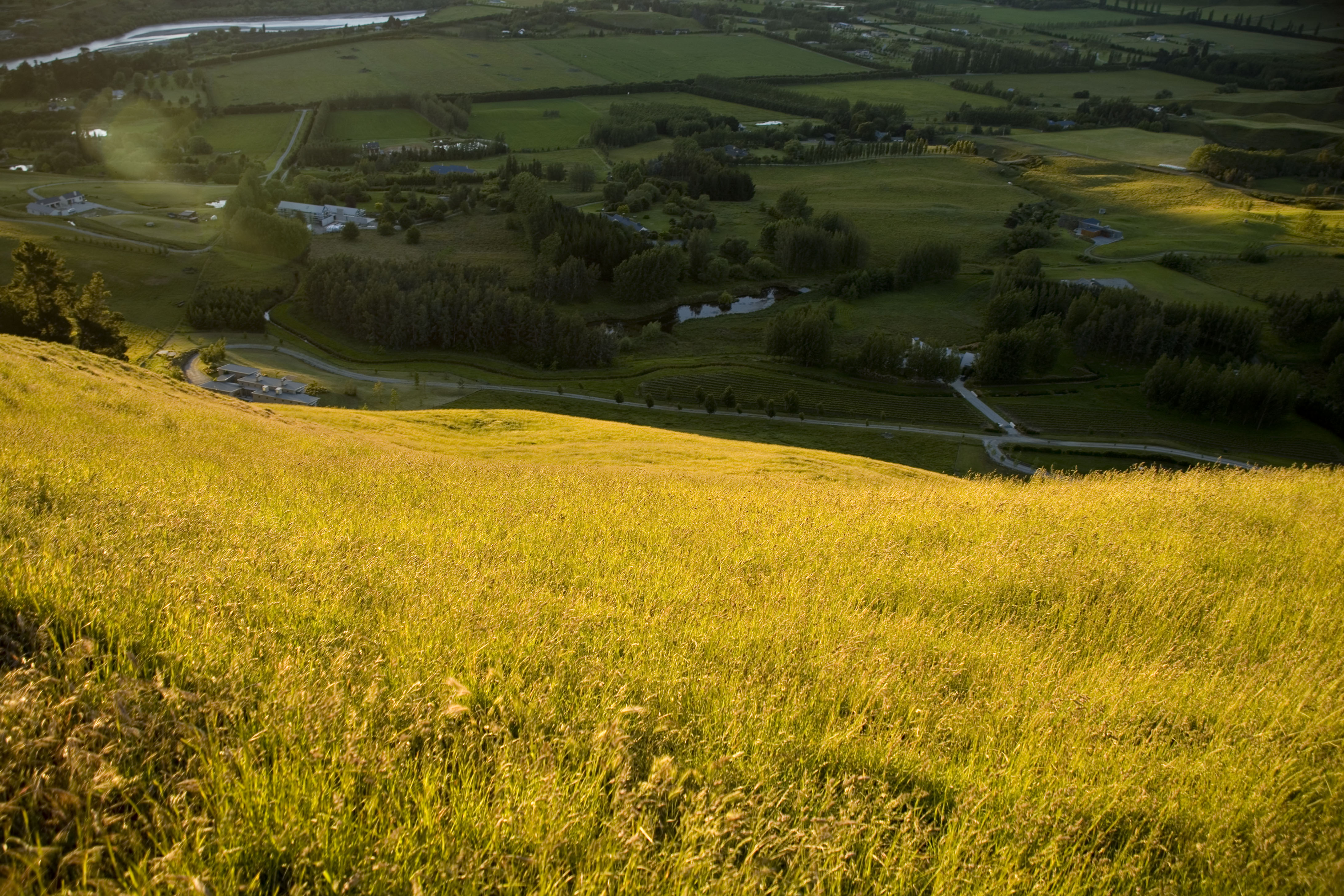Queenstown photography - 11 of 32