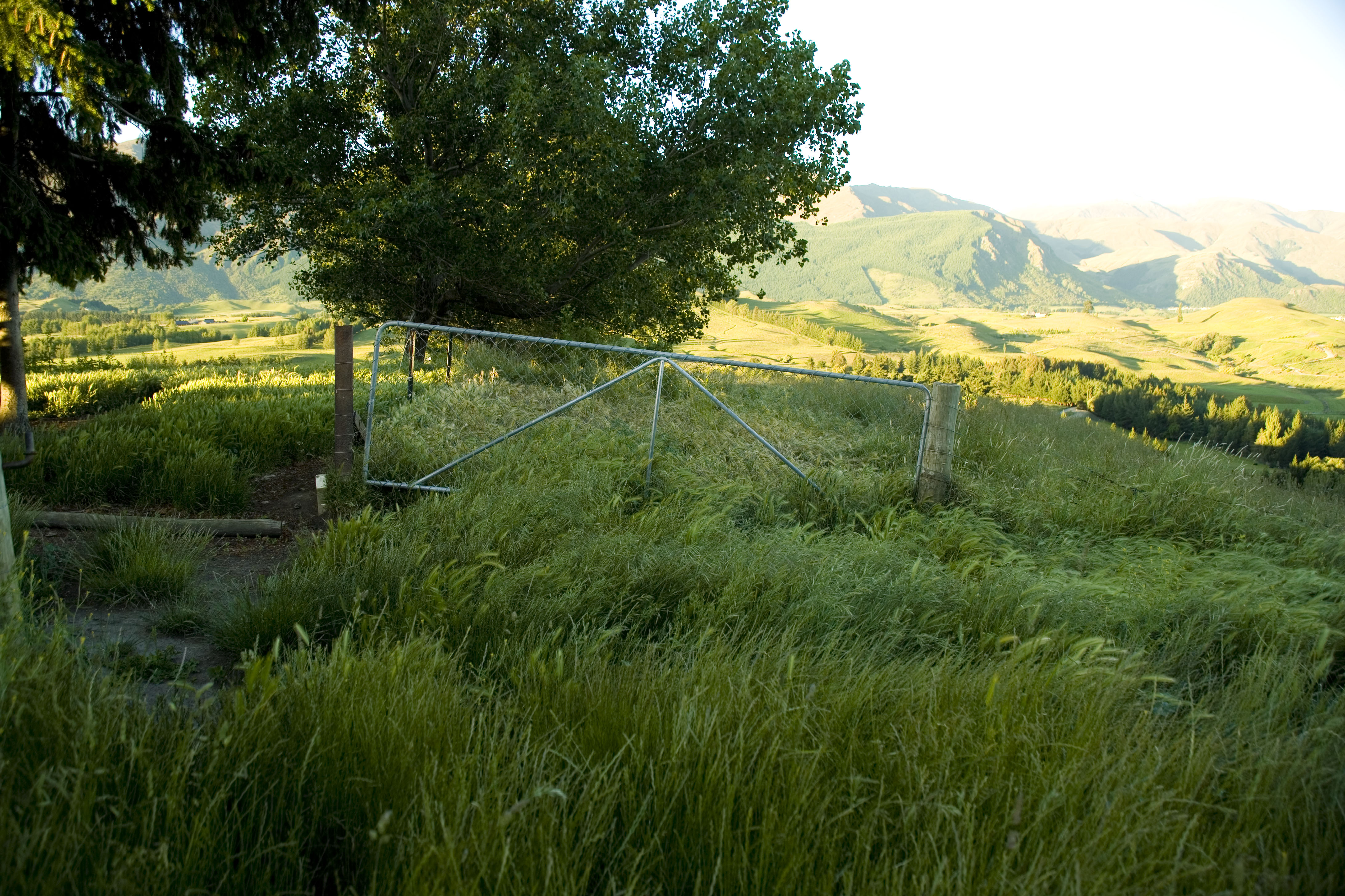 Queenstown photography - 19 of 24