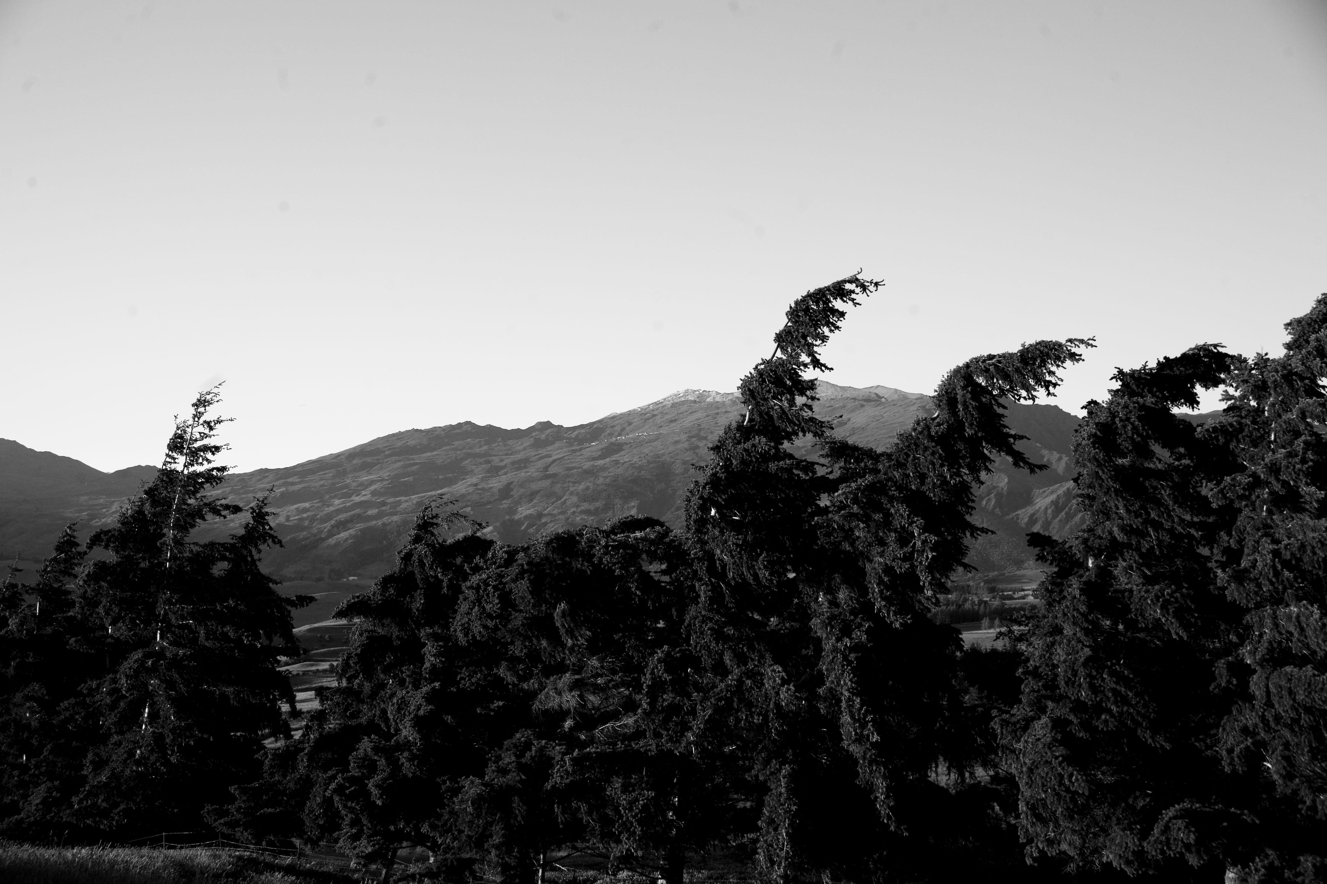 Queenstown photography - 20 of 24