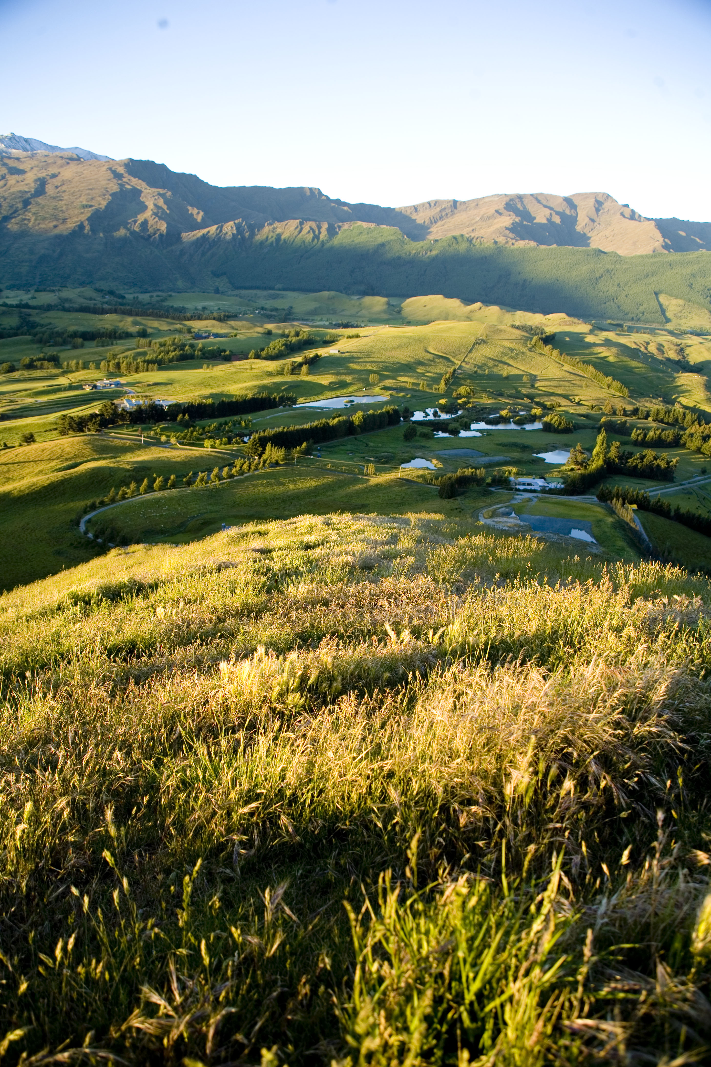 Queenstown photography - 9 of 32