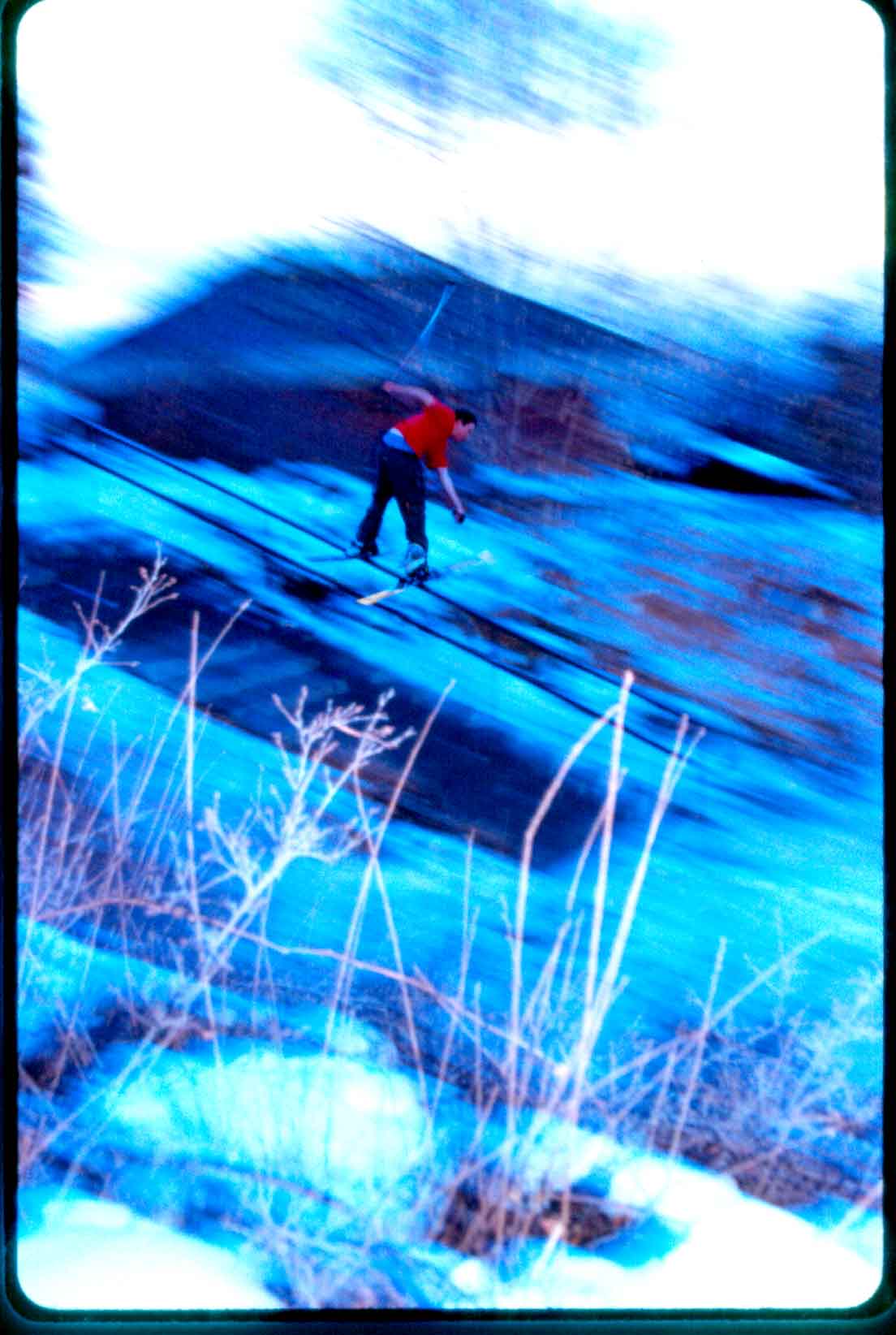 rai lat the rail garden