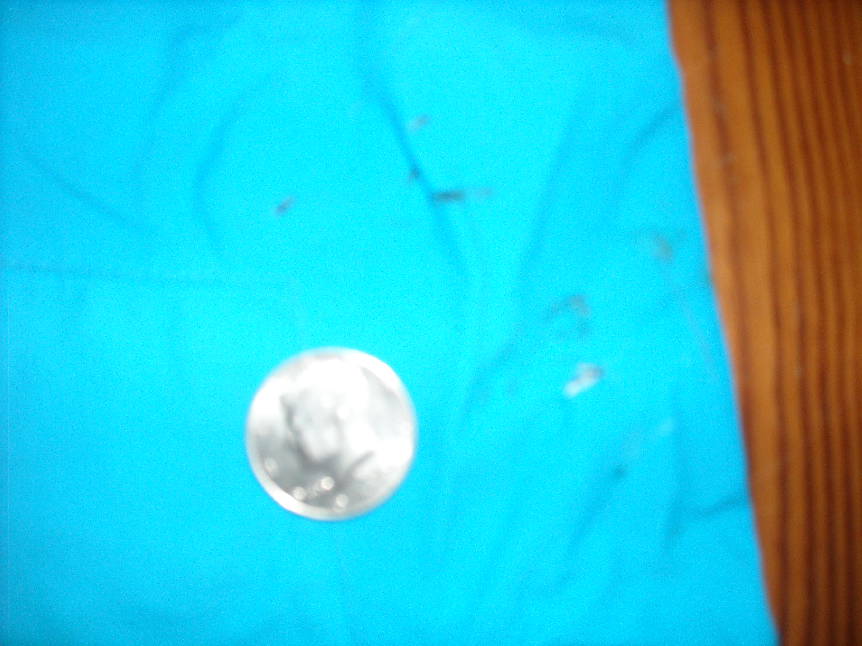 Rail burn lower back right leg