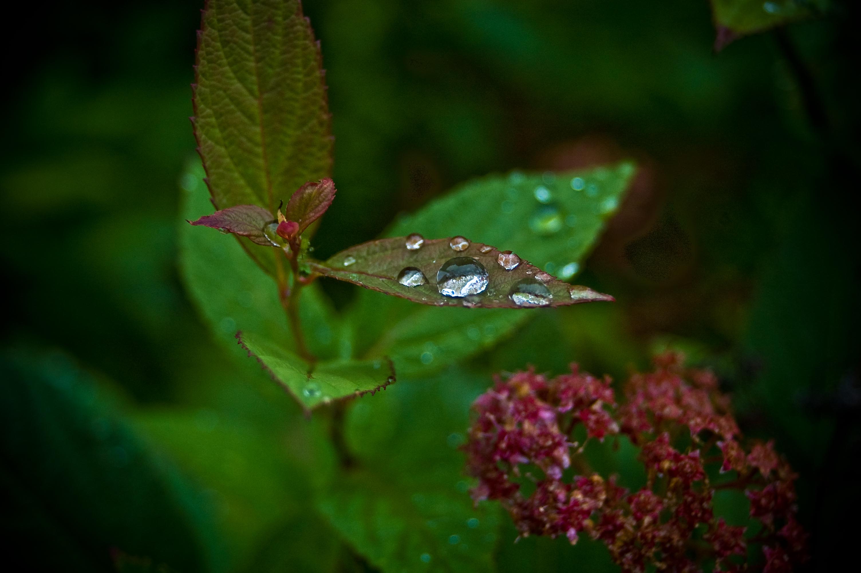 Raindrops are falling!
