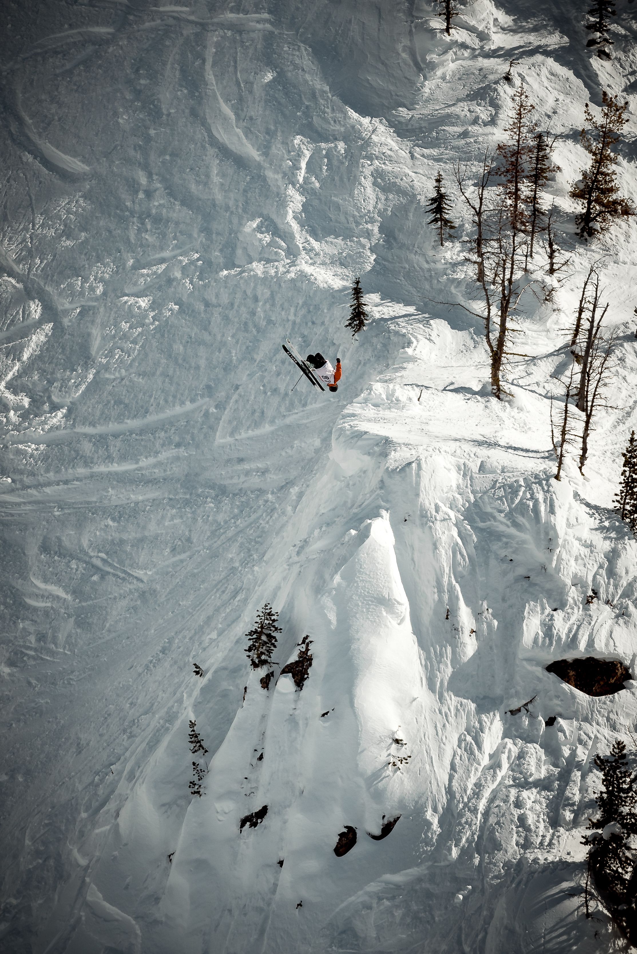 Ray in Kicking Horse