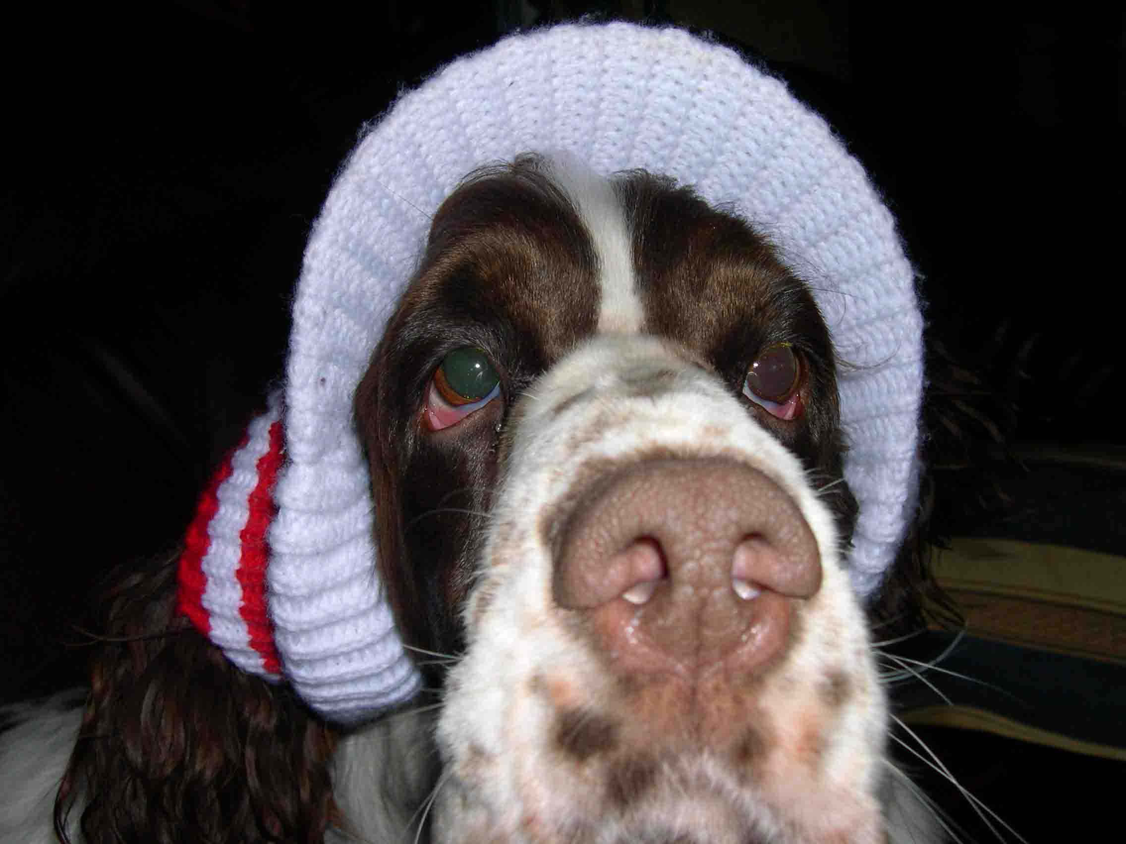 ready for some jibbing!!!!