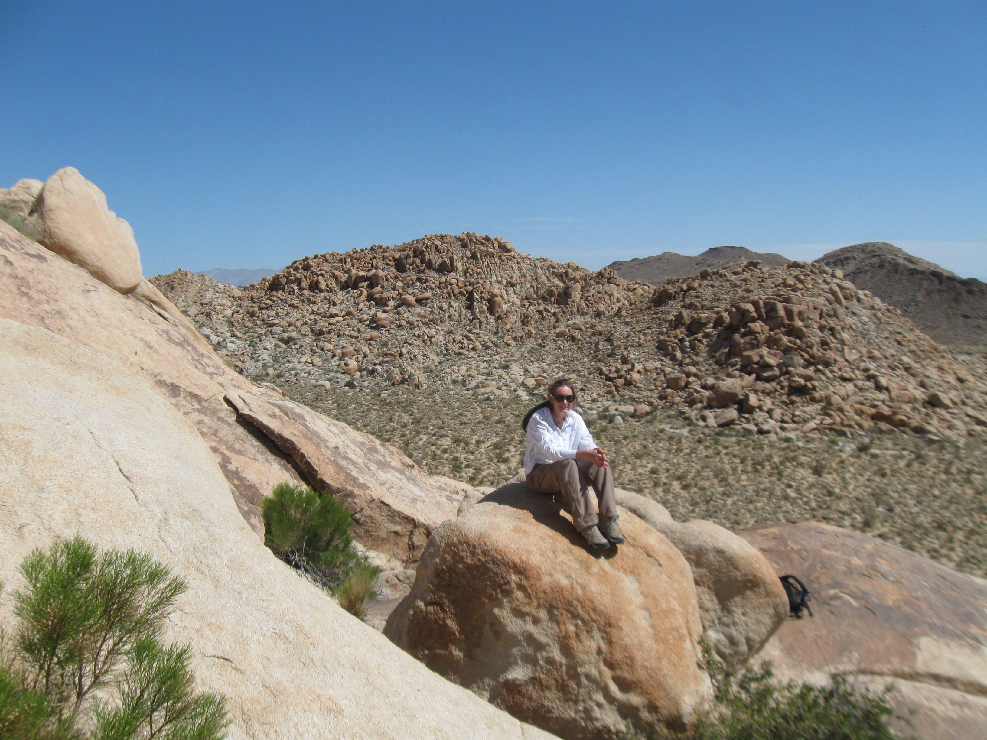 Real life Indiana Jones