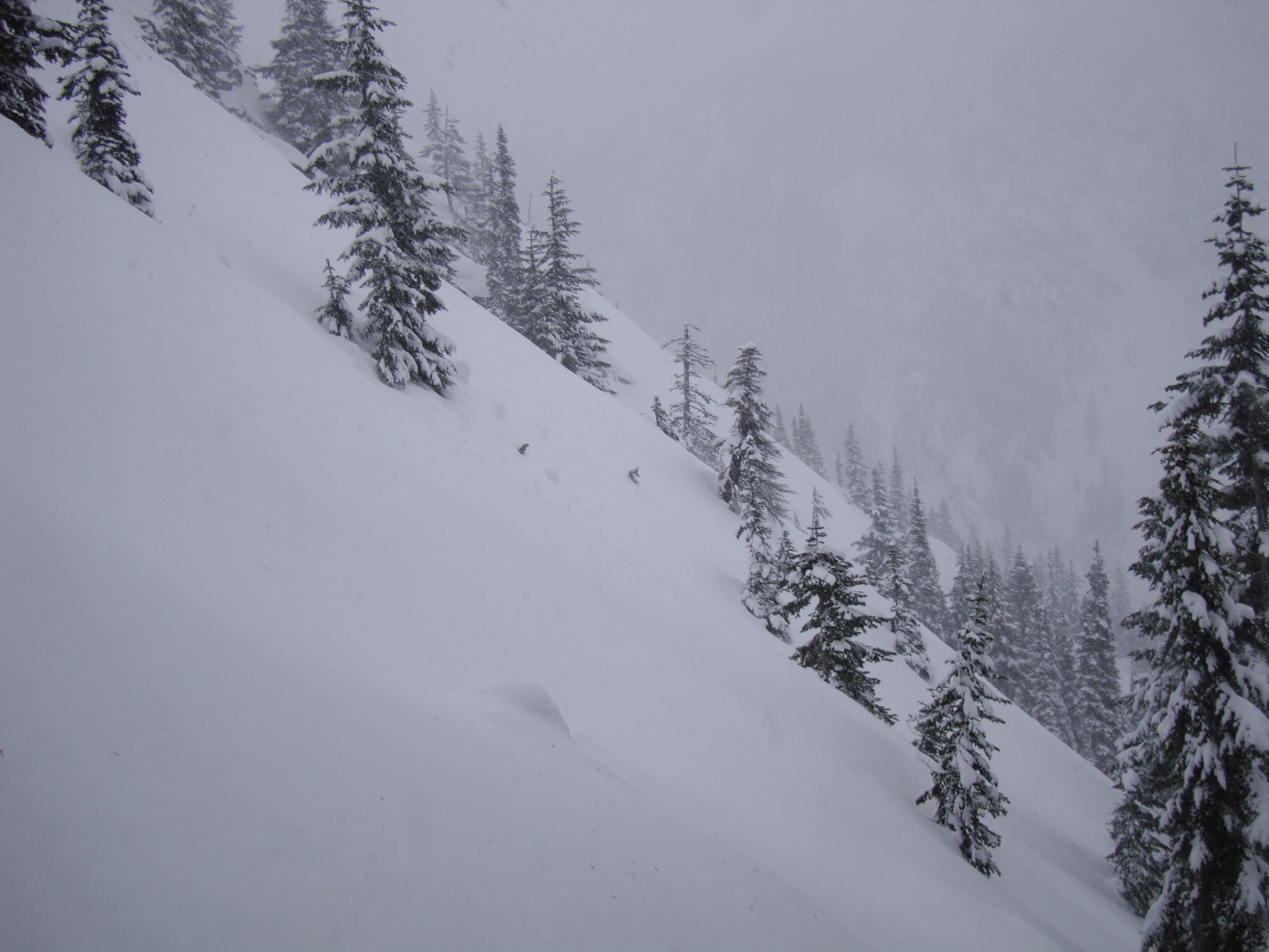 Red Mtn at Snoqualmie Pass, WA - about 5000ft, 800 from summit. 44Âº slope