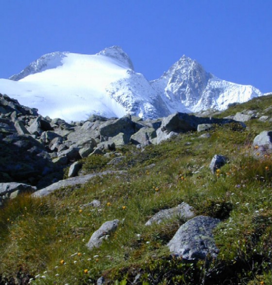 reichenspitze