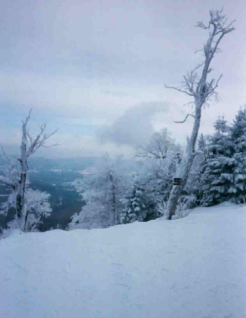 Reminds me of Winter