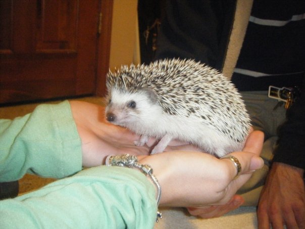 Remy with a funny face