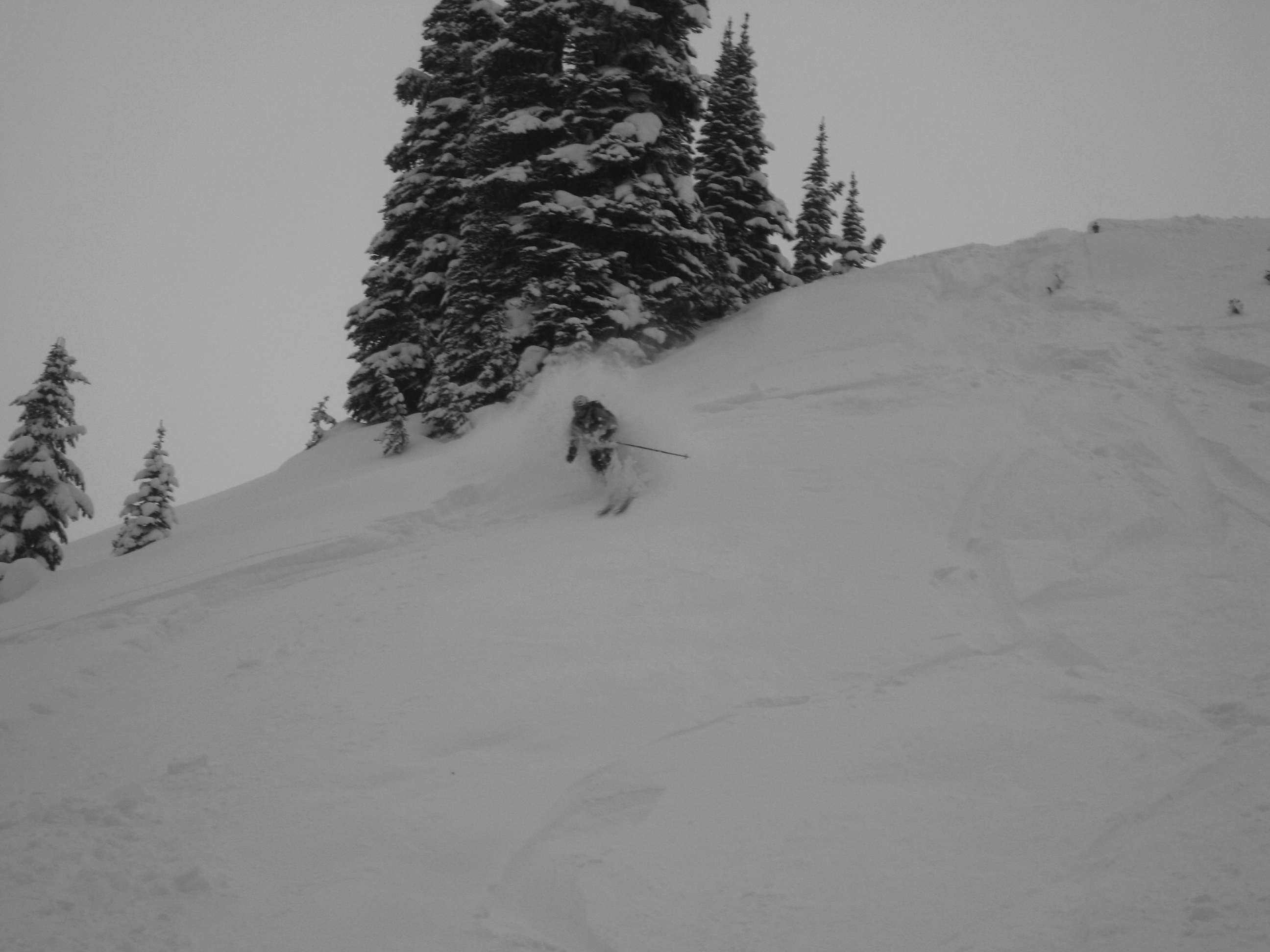 Retallack face shots