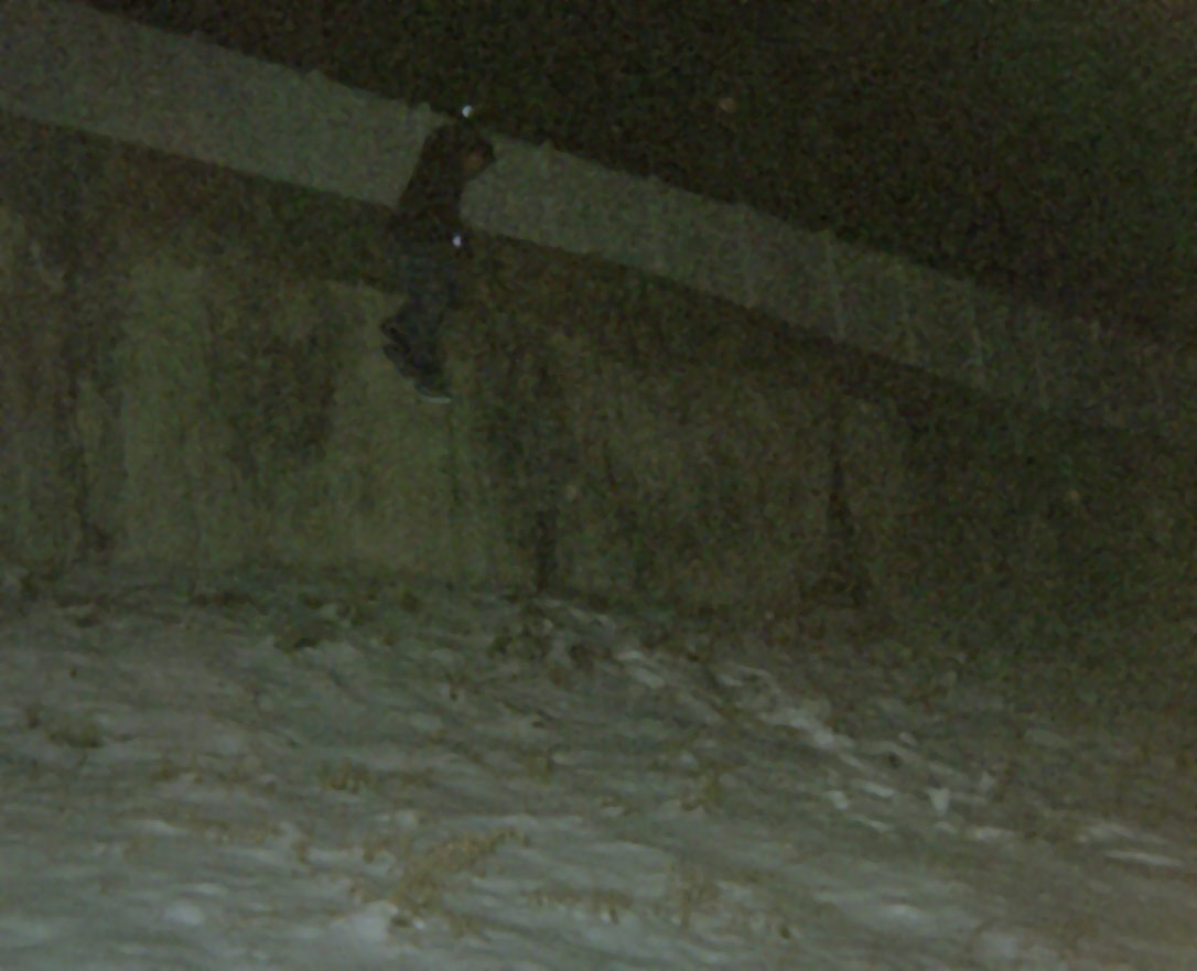 retention wall drop on snurfer