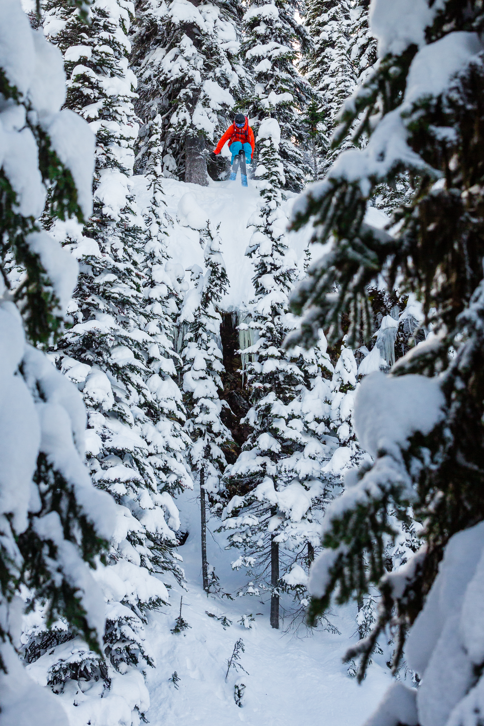Revelstoke Tree Gap
