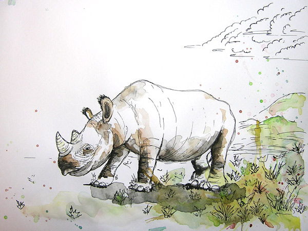 Rhino sketch