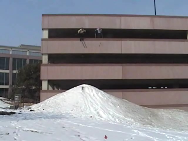 right before they jump