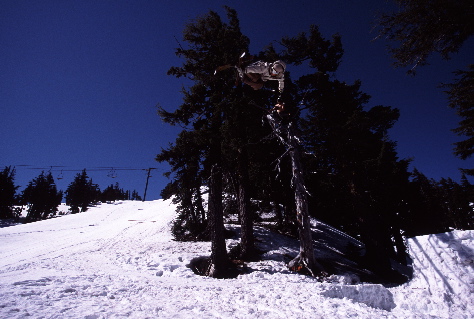 Rightside cork 5...BootaCrunk