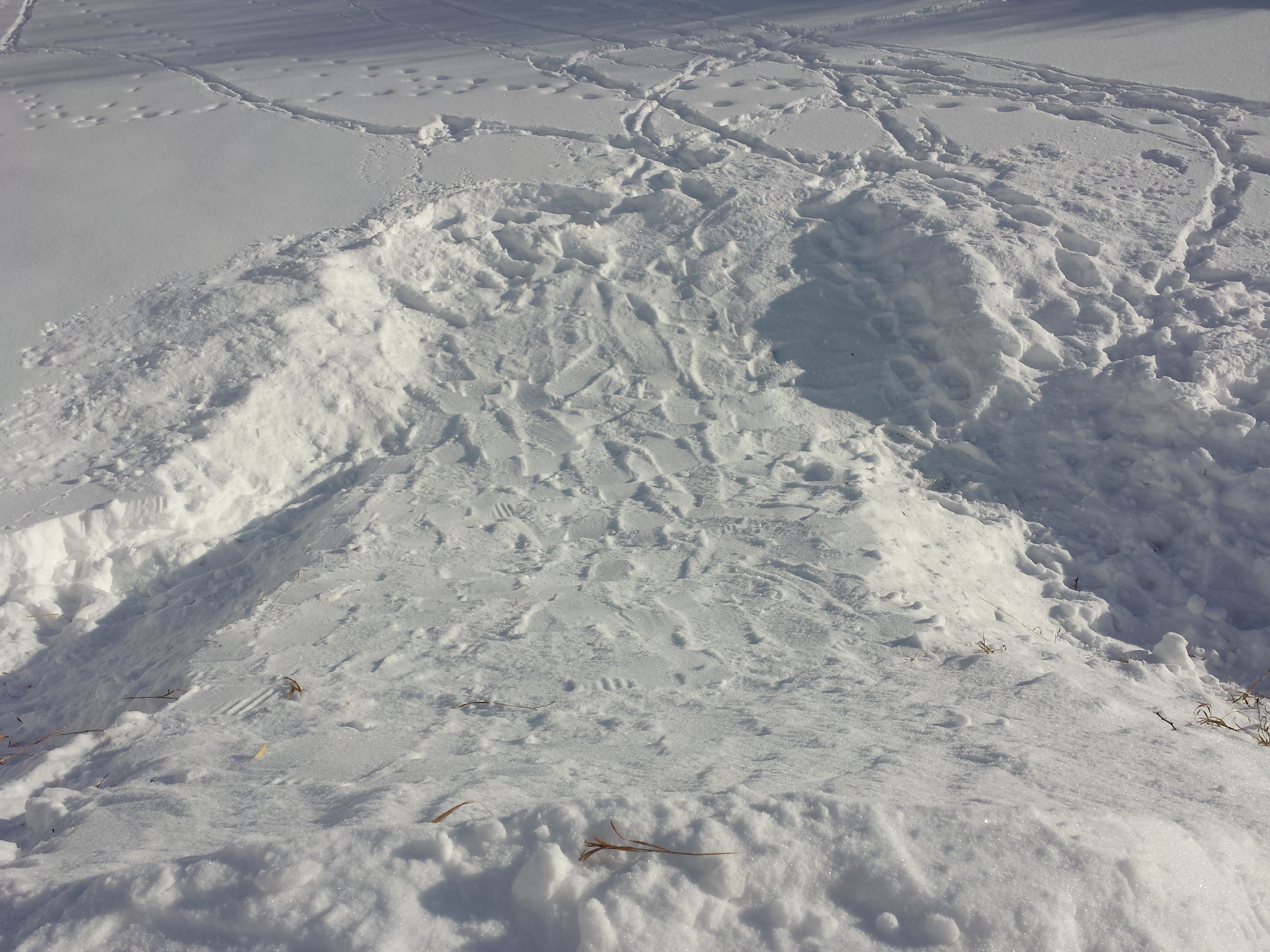 River Bank Step Up 5