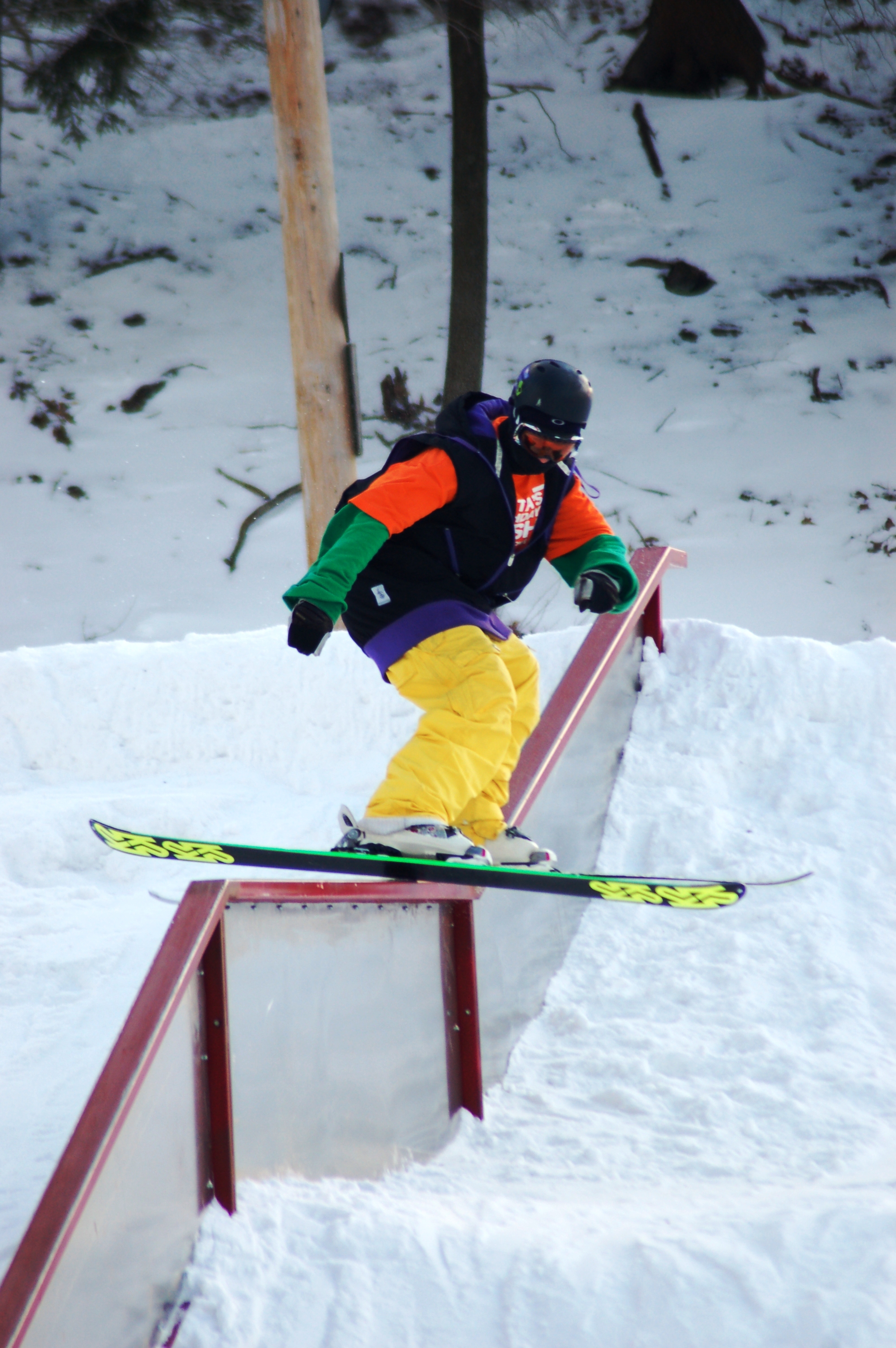 Robbys  Birthday Bash