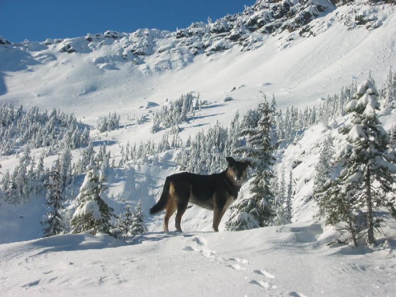 Rock Mountain and Kenya
